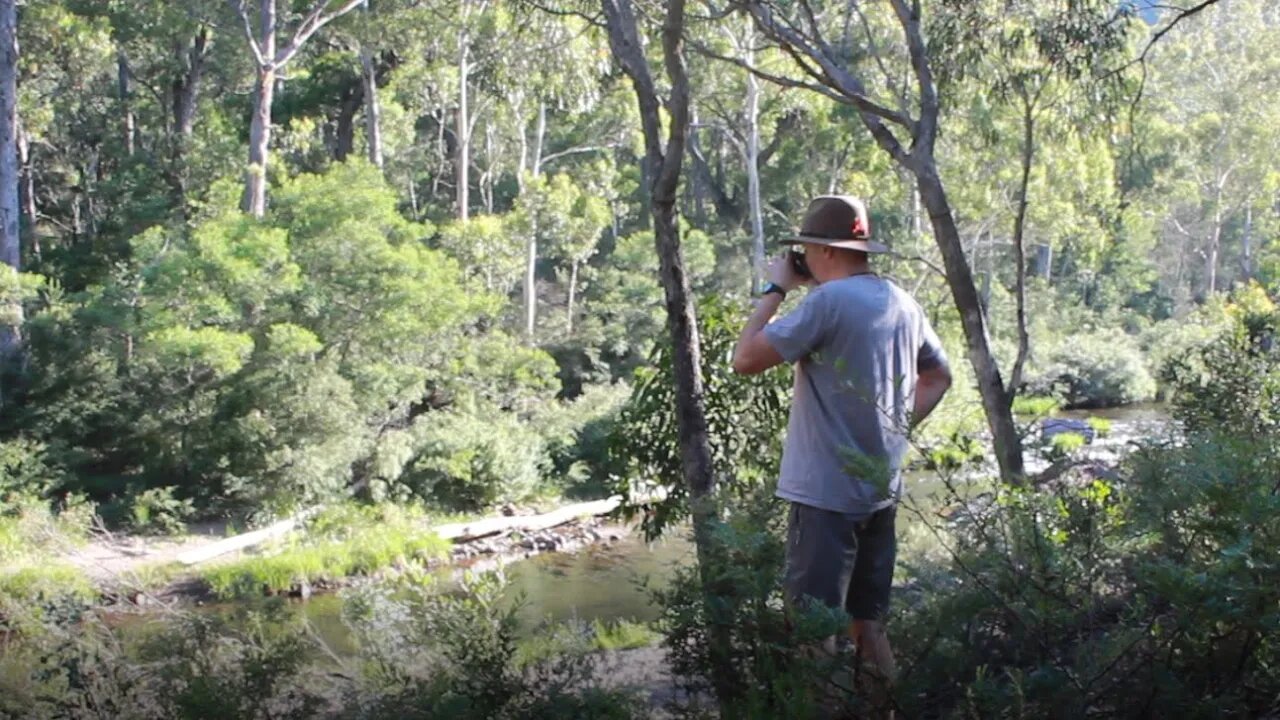 Solo camp in Vic High country / ASMR Camping