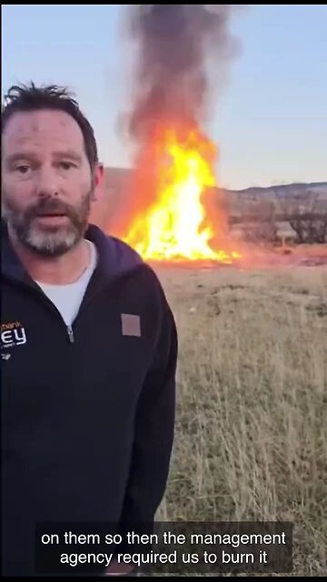 they're destroying nature not us