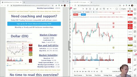 AutoUFOs 3-D Market Commentary (Becky Hayman) 2021 Feb-15 Part 2