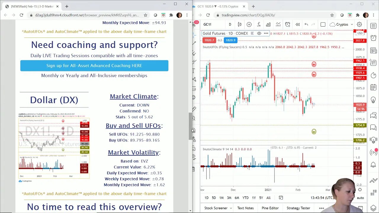 AutoUFOs 3-D Market Commentary (Becky Hayman) 2021 Feb-15 Part 2