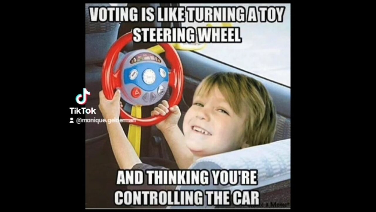 Voting is like turning a toy steering wheel and thinking you're controlling the car...