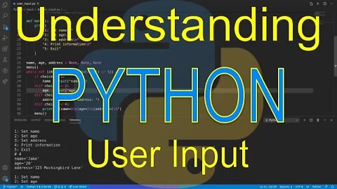 Understanding Python: User Input