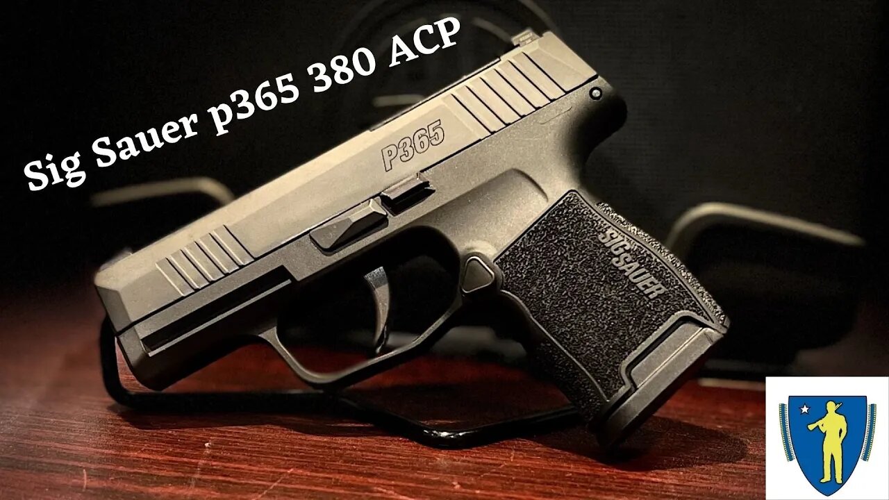 Whats In the Box Sig Sauer p365 380 ACP