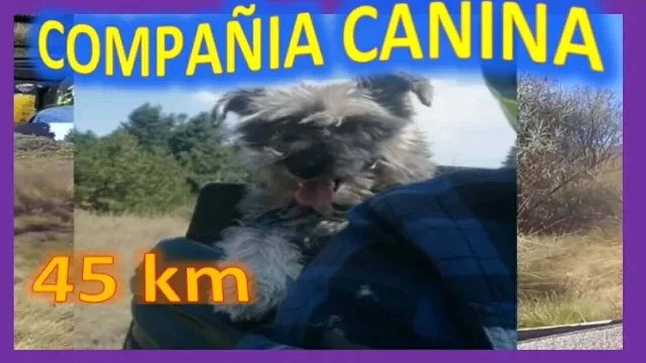 ATV 250cc ITALIKA - Recorrido de 45 KM con Perros