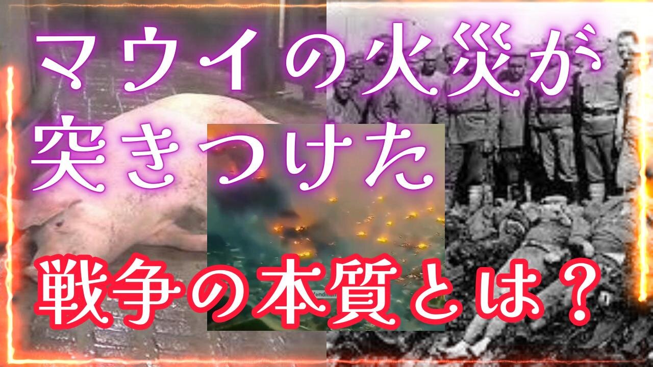 戦争の本質 なぜ戦争では庶民ばかりが大量に殺戮され、権力者たちは何の被害も受けないのか