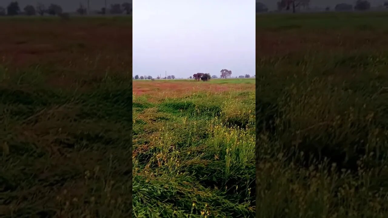 Jamidaar.....🇮🇳🙏| shorts,#shorts,joke fun shorts,minecraft shorts,short,joke fun shorts #shorts