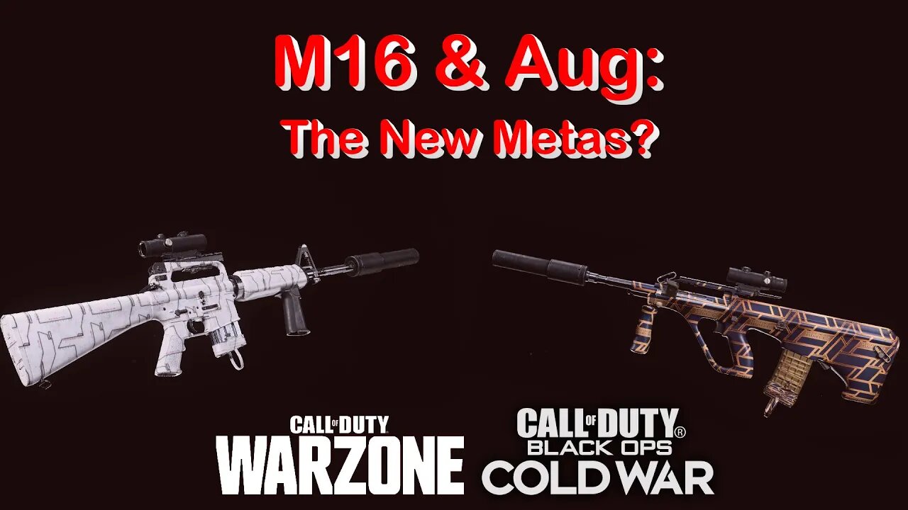 M16 & Aug: The New Metas? | Call of Duty: Black Ops Cold War Warzone #shorts