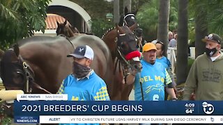 2021 Breeders' Cup kicks off at Del Mar racetrack