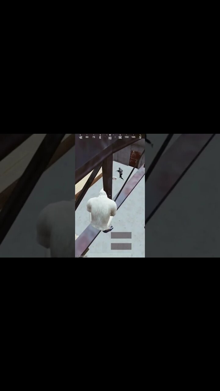 Mystery Of The Yeti Finally Solved