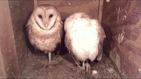 Syd slid in at 2:05 am. They slept until they heard a noise at 3:29....11-1-19 after time change.