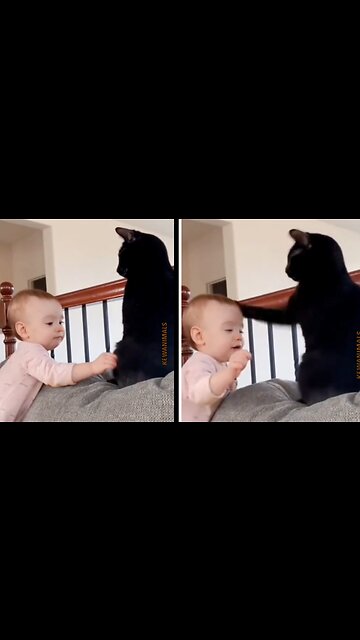 don't toktok to me ifi you don't i toktok