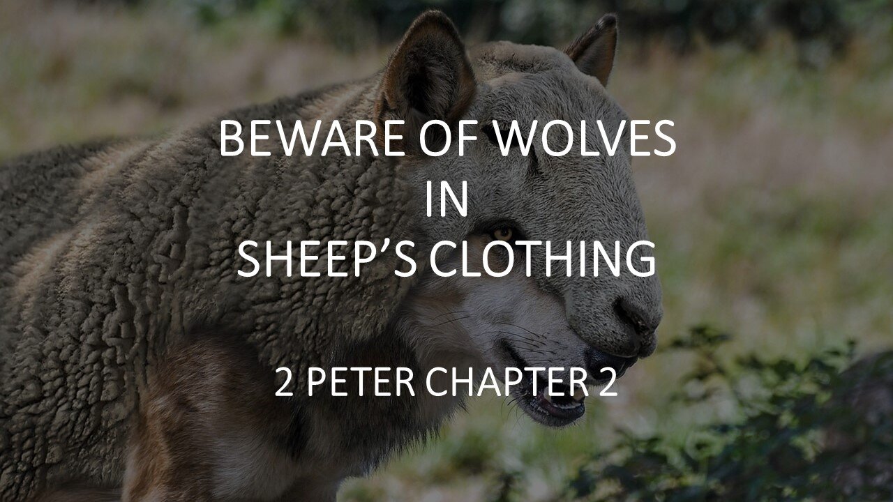 2Peter 2 part 4 | BEWARE OF WOLVES IN SHEEP'S CLOTHING | 12/17/2023