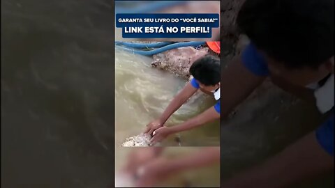 AS MELHORES ARMADILHAS PARA PEGAR PEIXE DO MUNDO #VOÇESABIA #SHORTS