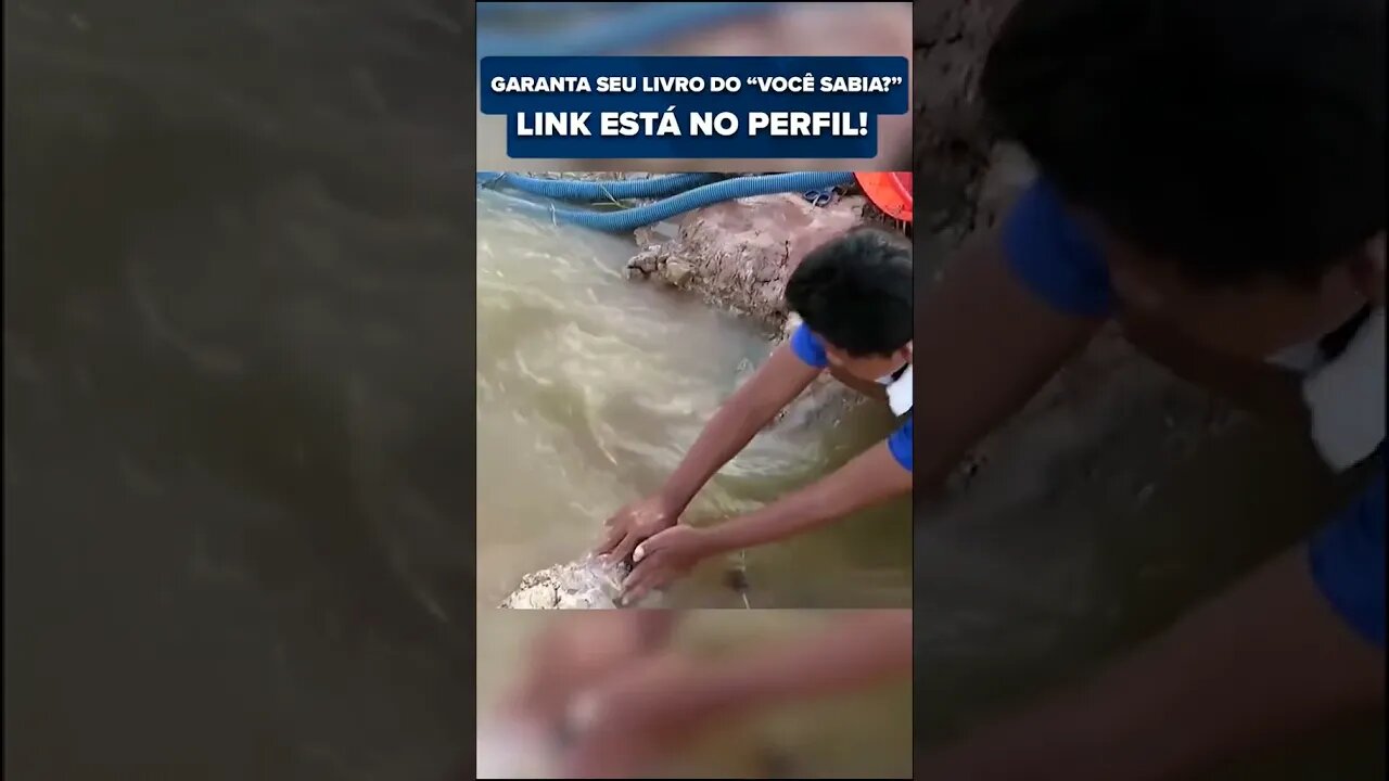 AS MELHORES ARMADILHAS PARA PEGAR PEIXE DO MUNDO #VOÇESABIA #SHORTS