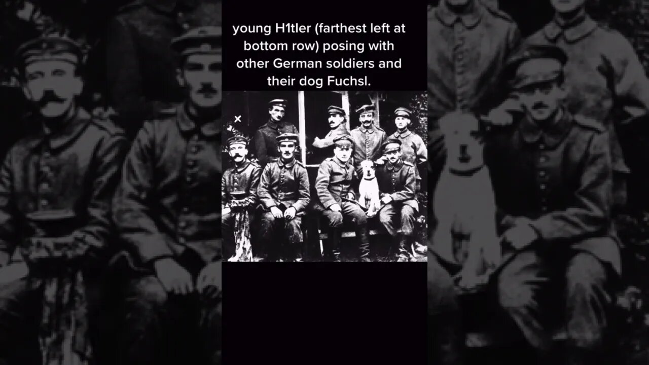 Historical War Photos You Need To See #shorts