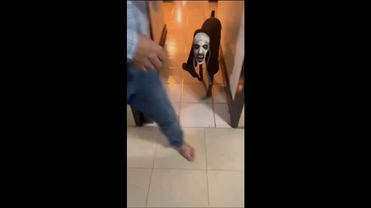 Happy Halloween dog 🤣