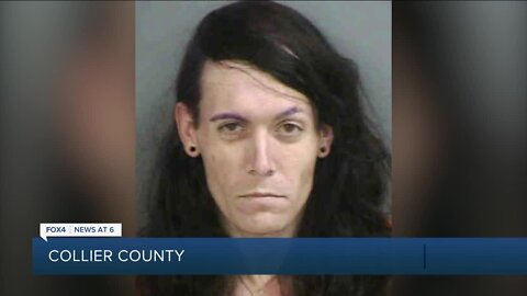 Deputies find guns, meth, baby gator in truck