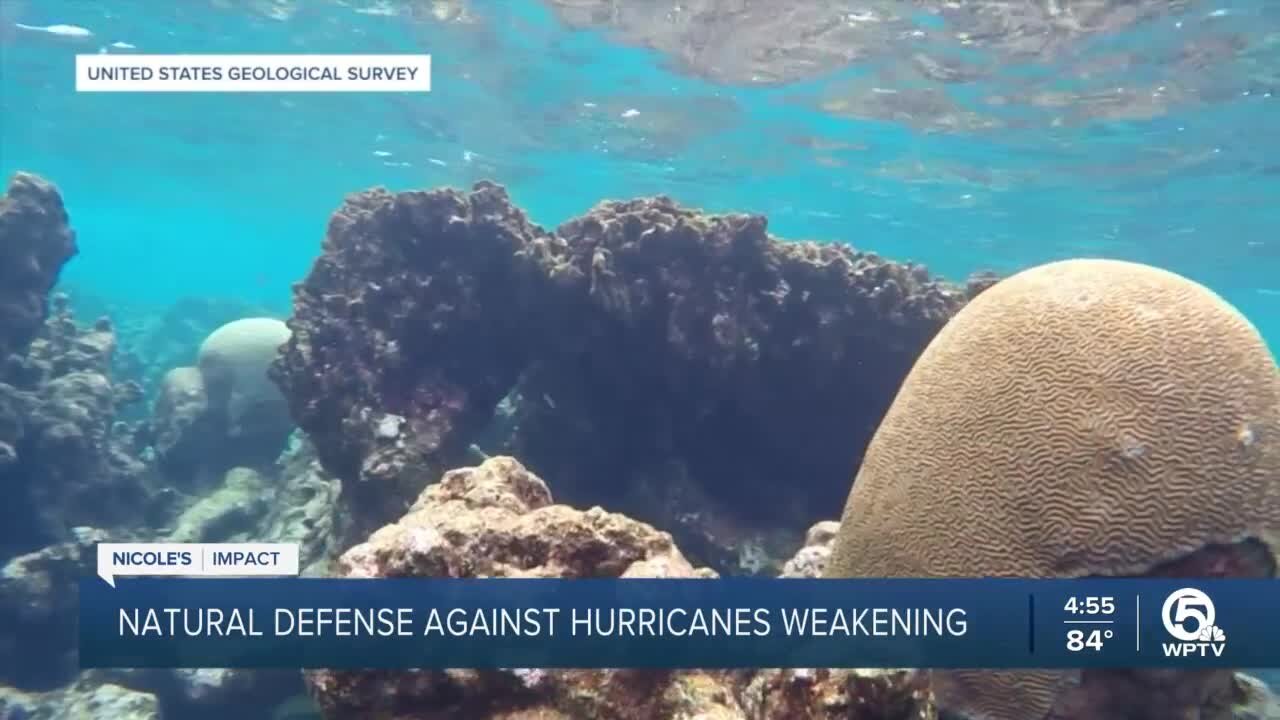 Natural defense against hurricanes weakening