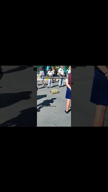 That could’ve been bad 😰😰💥 #disney #hollywoodstudios #shorts