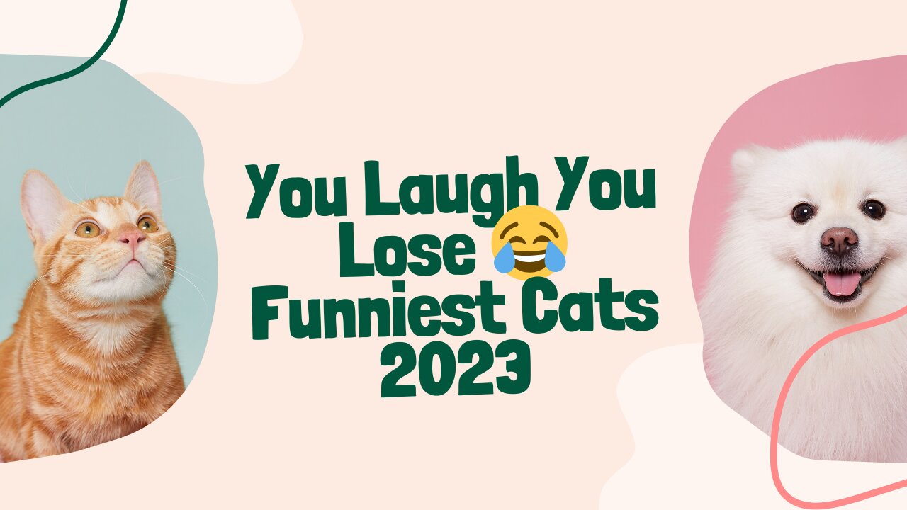 "2023's Ultimate Pet Comedy: 'Laugh or Paws' Challenge"