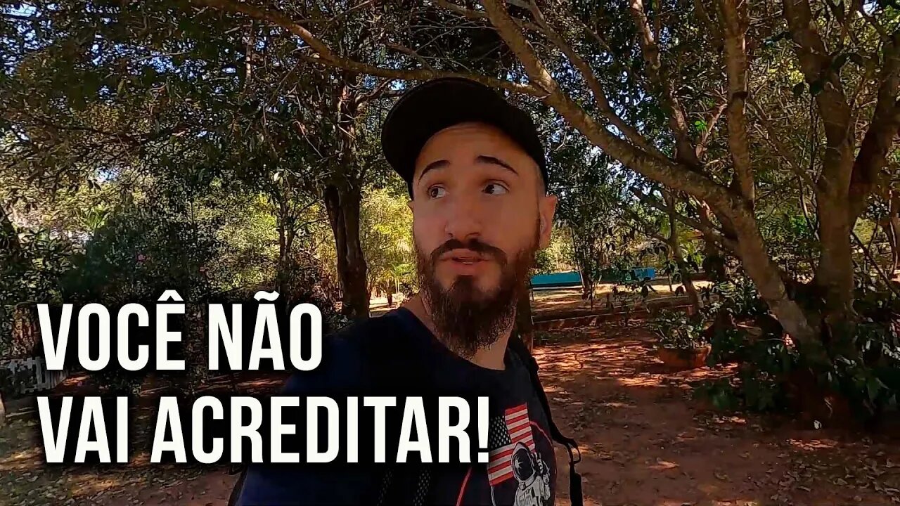 Voltei na antiga chácara do meu avô!