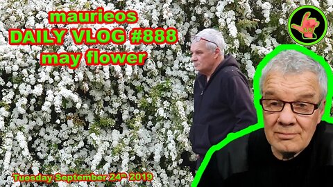 maurieos DAILY VLOG #888 may flower