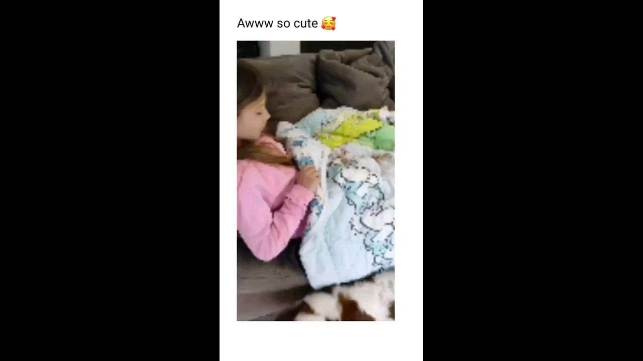 Babies and pets