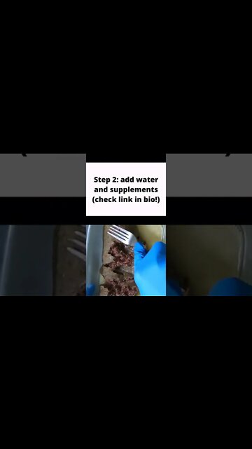 Easy raw cat food at home 😺🥩 #rawcatfood #catnutritionist