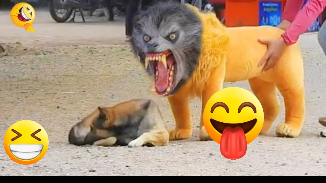 Dog Pranks Featuring Troll, Fake Lions, Fake Tigers, and a Massive Box Surprise!