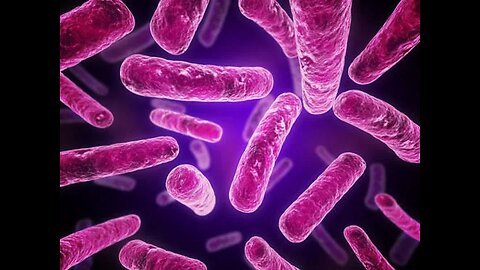 Make the complaint the officials failed in their duty