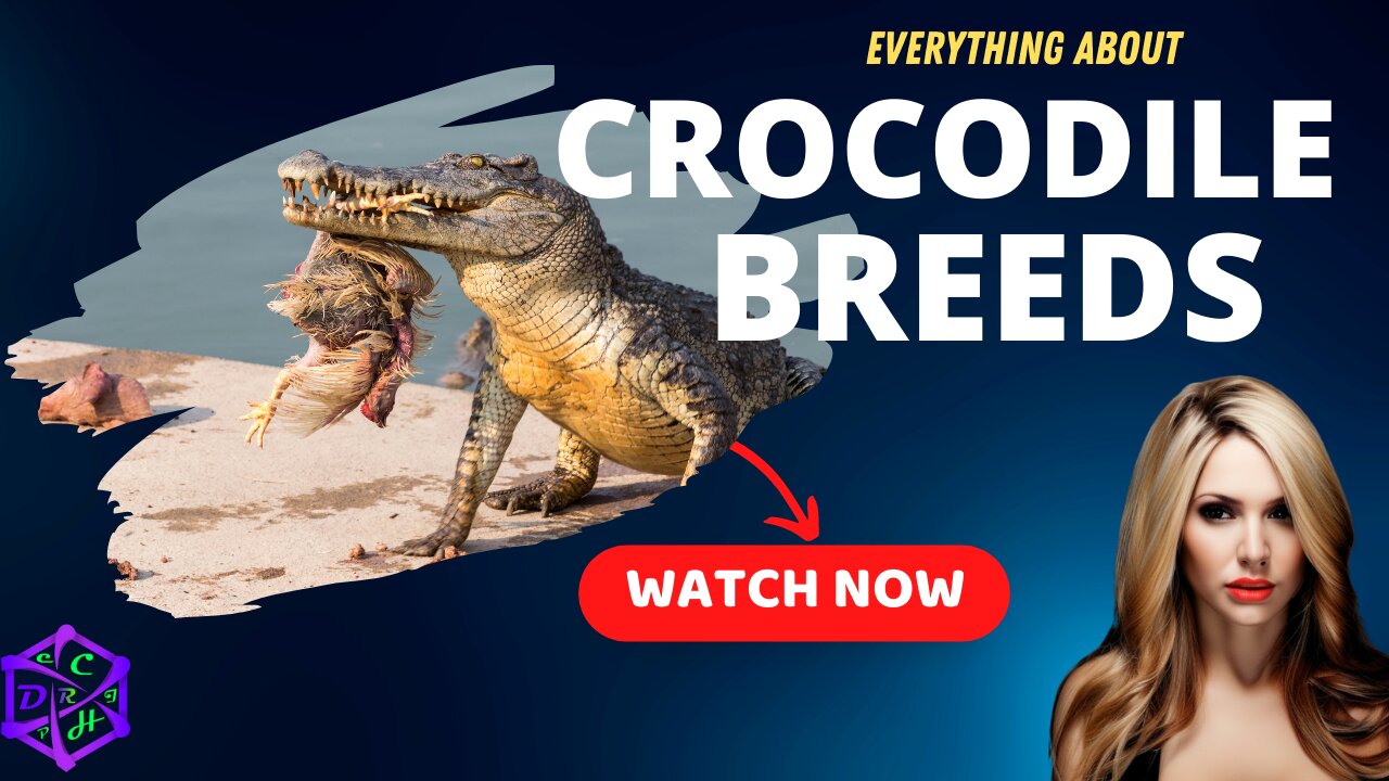 10 Amazing Facts About Crocodile Breeds You Never Knew