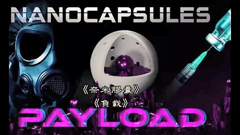 PAYLOAD 2 - NANOCAPSULES 中文字幕