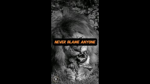 never blame anyone