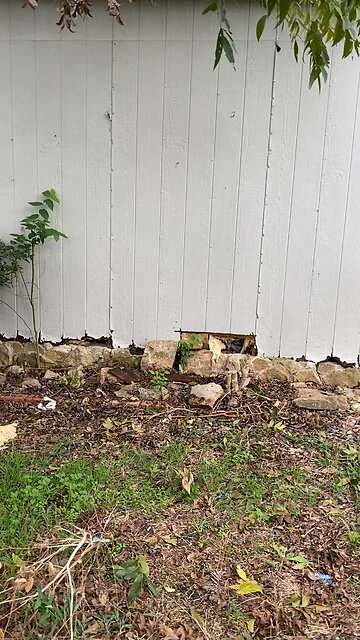 Next rescue…. They just keep coming….