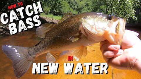 How to catch BASS in NEW WATER! (NO BOAT NEEDED)