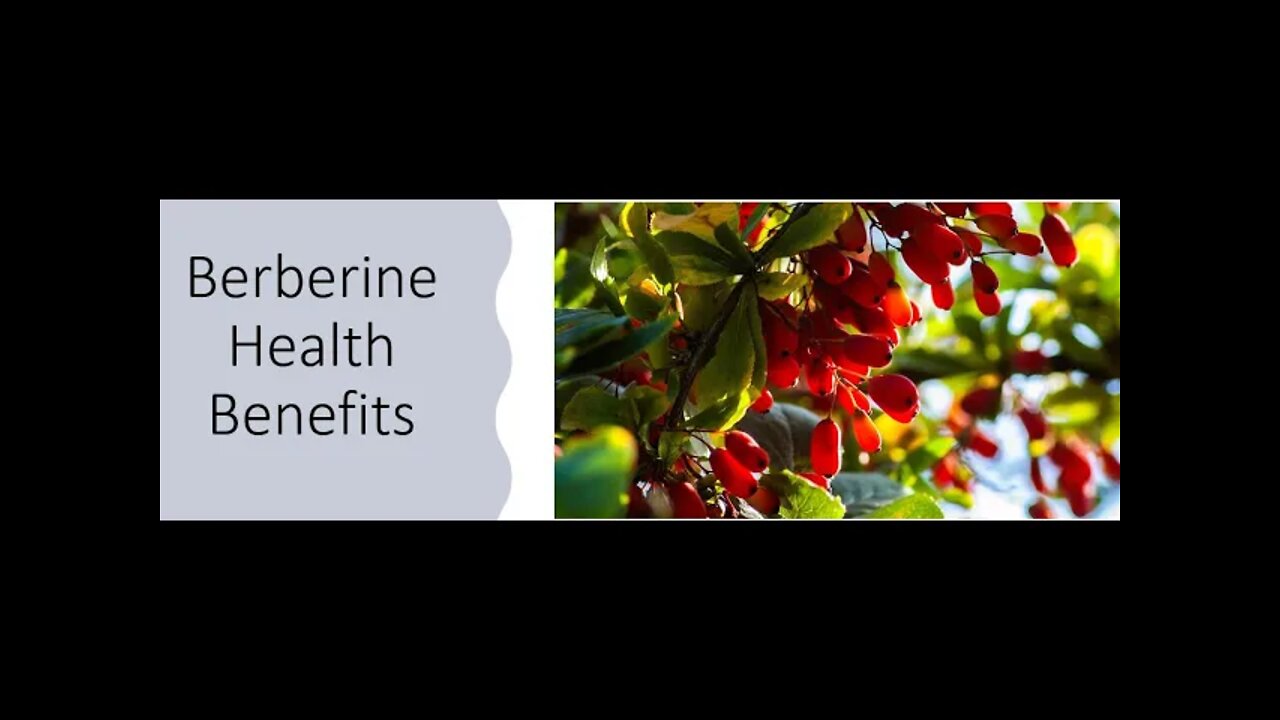 Berberine - Health Benefits