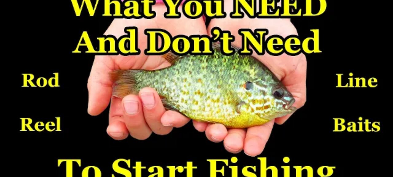 Beginners' Guide to Fishing Gear - How to Start Fishing With a Rod and Reel