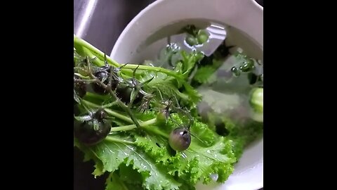 Feed yourself
