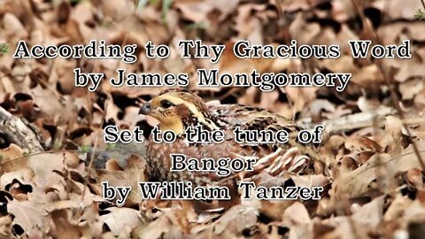 According to Thy Gracious Word (Bangor)