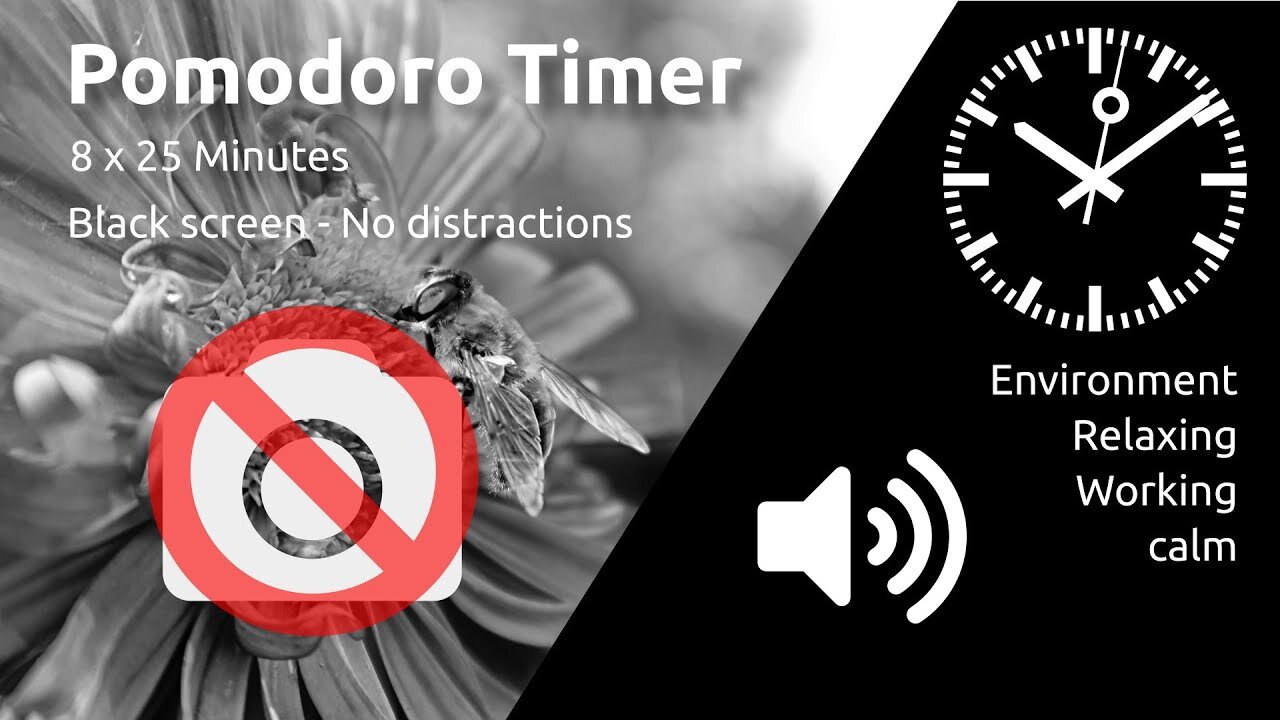 Pomodoro Timer 8 x 25min ~ Relax & Calm ~ No distractions