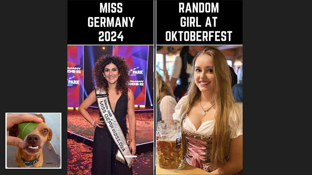 Memes That Will 99.823% Make You Laugh. (e48)