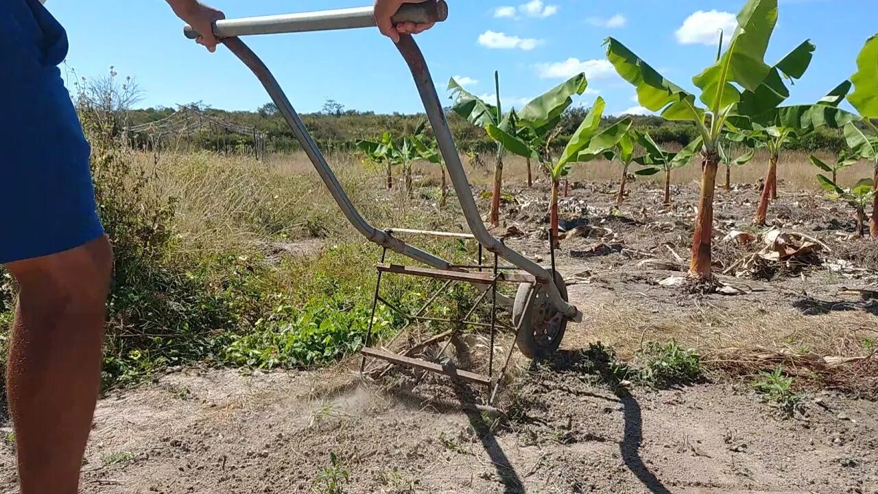 Capinadeira Feita com carrinho de mão #Nordeste