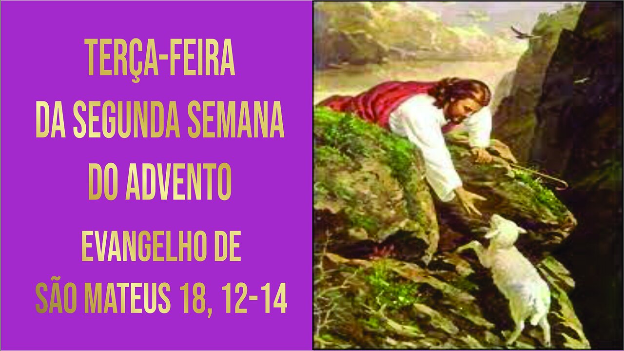 Terça-feira da Segunda Semana do Advento