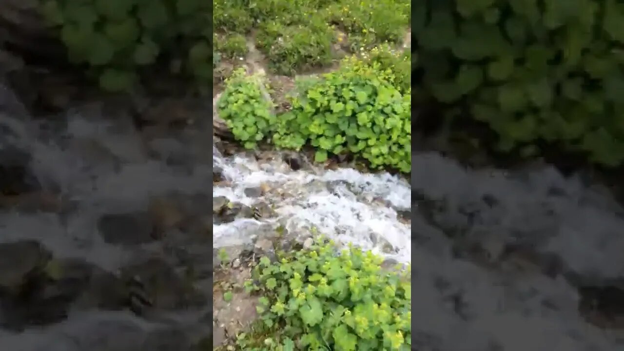 DAĞIN YAMACINDAN AKAN BU SESE KULAK VER!