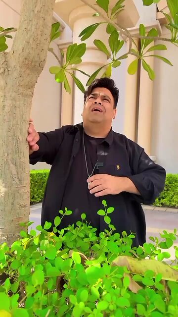 Chacha Thora pichhe Ho jao