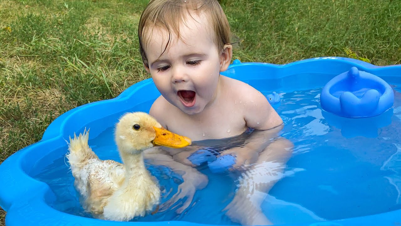 Funny Cute Baby Reaction to Duckling in the Pool | Kids Video 2023