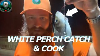 White Perch (Catch) & Cook. 500 subs!