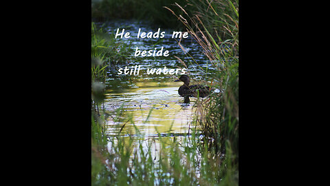 Yay! The Lord Is My Shepherd!