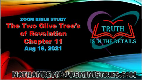 Nathan Reynolds - The Two Olive Trees of Revelation 11 - Zoom Bible Study Aug 16, 2021