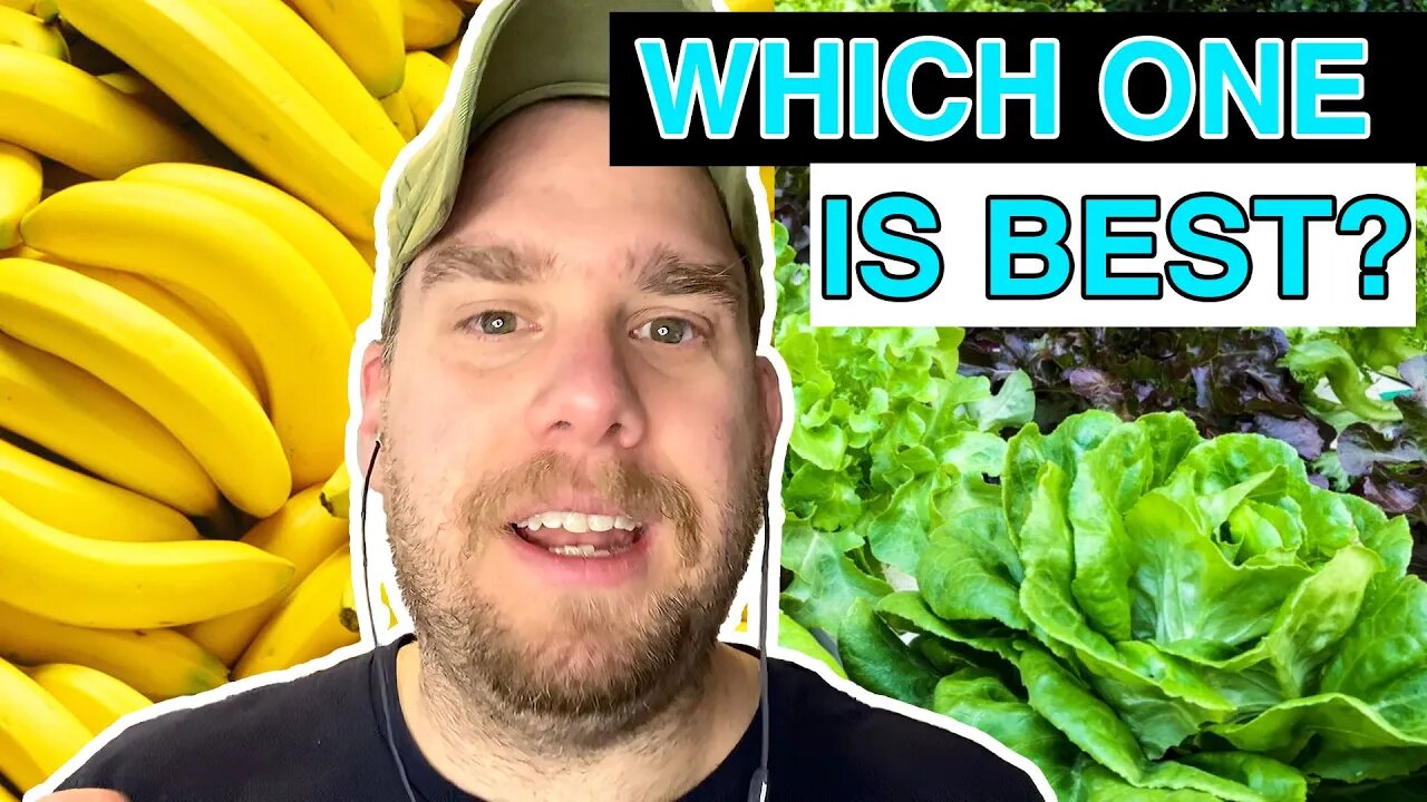 What is the BEST version of the RAW VEGAN DIET? | I go over 6 VARIATIONS